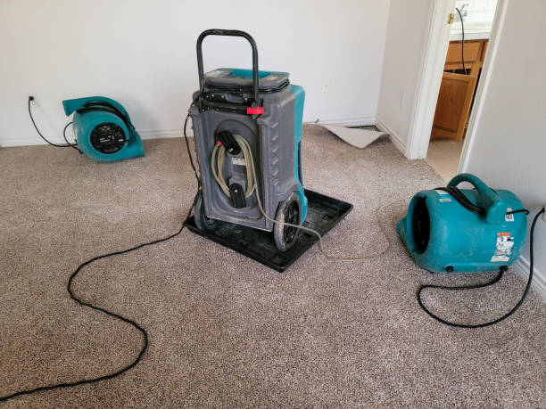 Best Flood restoration services  in Inverness, IL