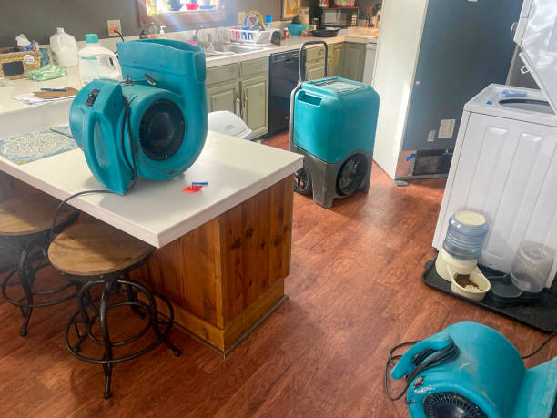 Best 24-hour water damage restoration  in Inverness, IL