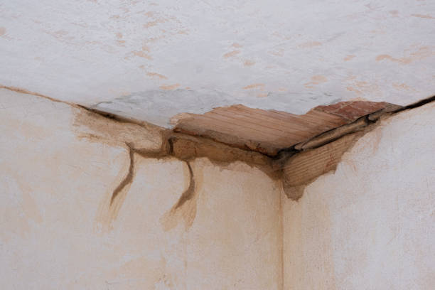 Best Residential water damage restoration  in Inverness, IL