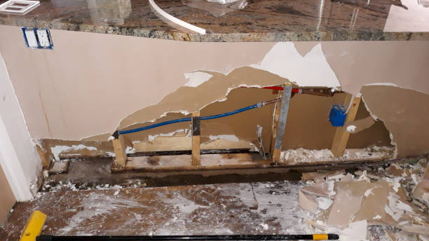 Best Water damage cleanup near me  in Inverness, IL