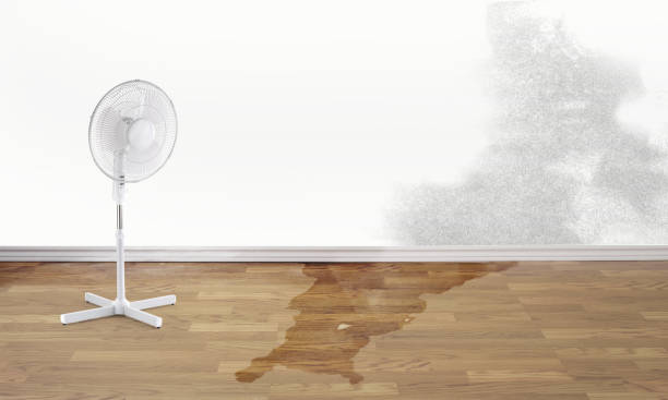 Best Water damage restoration near me  in Inverness, IL