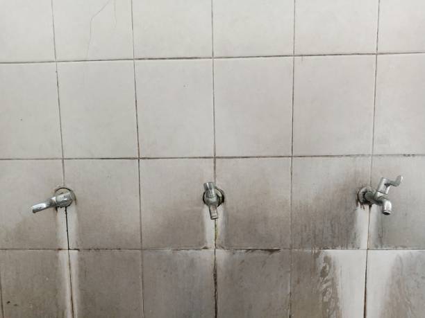 Best Professional water damage repair  in Inverness, IL