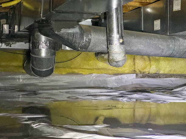 Best Water damage contractors near me  in Inverness, IL