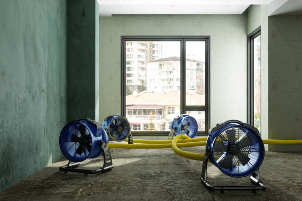Best Fire Damage Restoration  in Inverness, IL