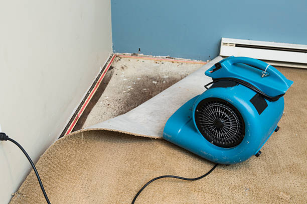 Best 24/7 water damage repair  in Inverness, IL